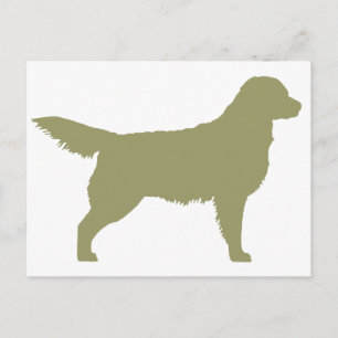 Postal Golden Retriever (verde sabio)