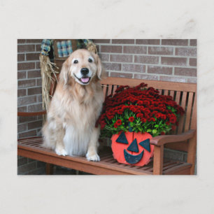 Postal Golden Retriever with Pumpkin Plantador