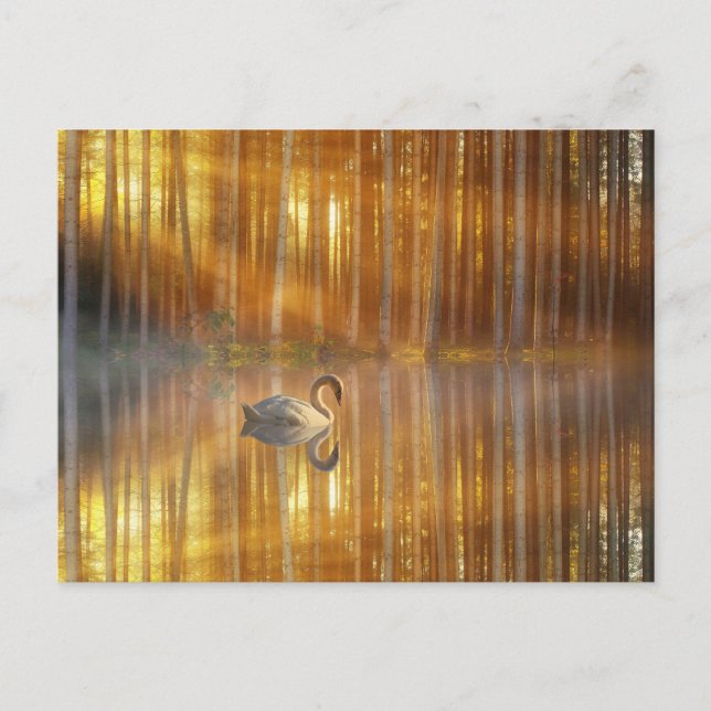 Postal Golden Sunset (Anverso)