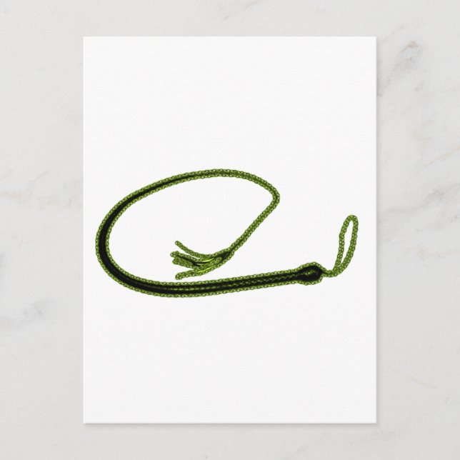 POSTAL GOLDEN WHIP (Anverso)