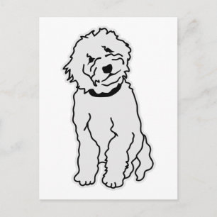 Postal Goldendoodle
