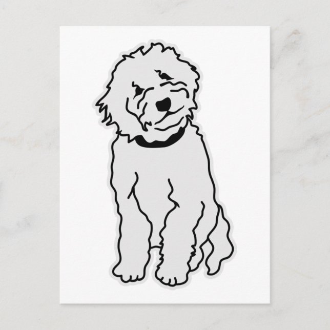 Postal Goldendoodle (Anverso)