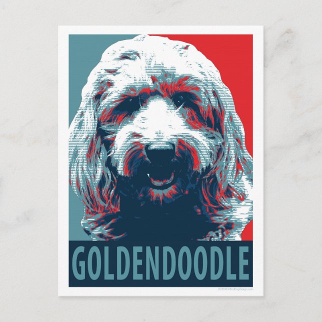 Postal GOLDENDOODLE de Hope Dogs (Anverso)
