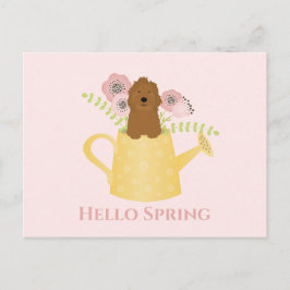 Postal Goldendoodle En El Agua