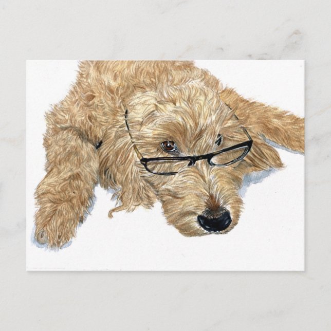 Postal Goldendoodle Stella Postcard (Anverso)