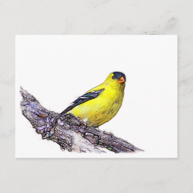 Postal Goldfinch (Anverso)
