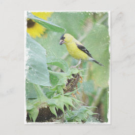 Postal Goldfinch Grunge