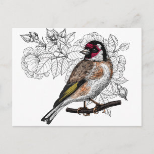 Postal Goldfinch y rosas