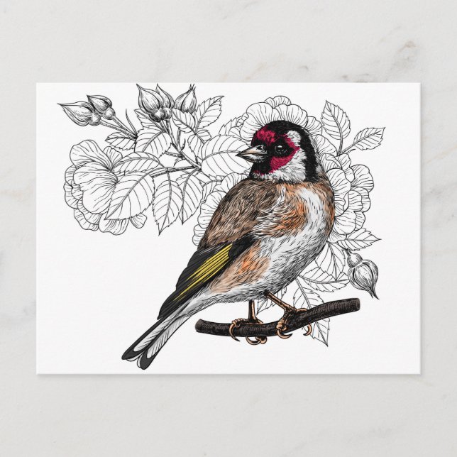 Postal Goldfinch y rosas (Anverso)
