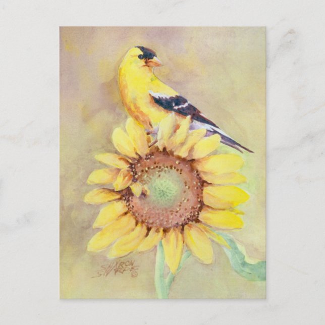 Postal GOLDFINCH Y SUNFLOWER de SHARON SHARPE (Anverso)