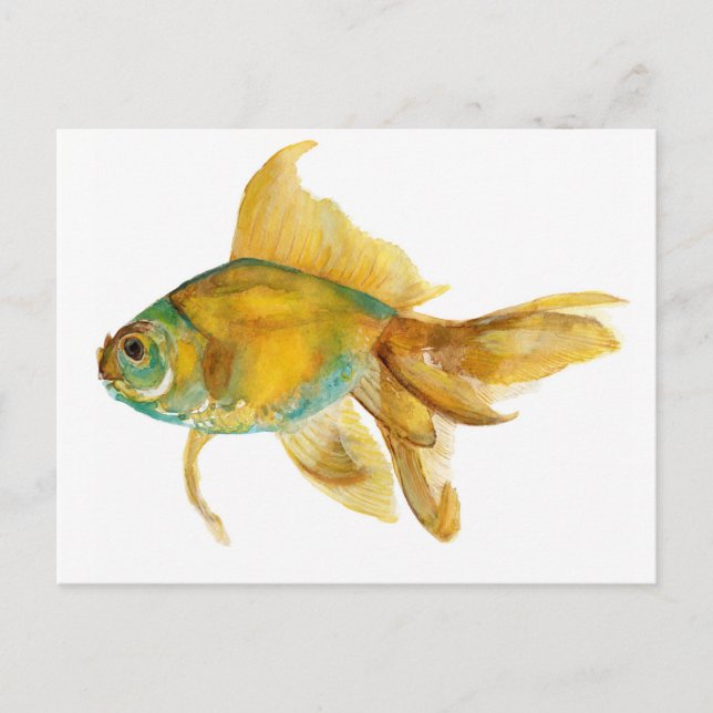 Postal goldfish2.jpg (Anverso)
