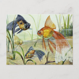 Postal Goldfish Vintage Art