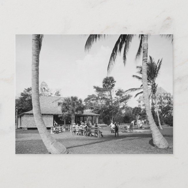 Postal Golf en Palm Beach, 1904 (Anverso)