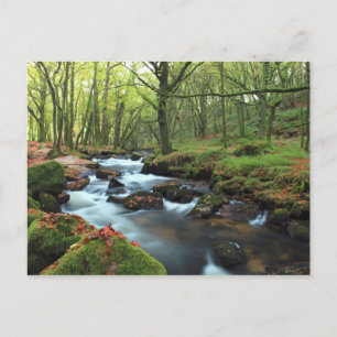 Postal Golitha Falls