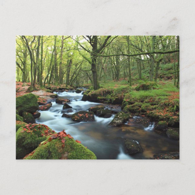 Postal Golitha Falls (Anverso)