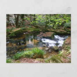 Postal Golitha Falls River Fowey Cornwall England