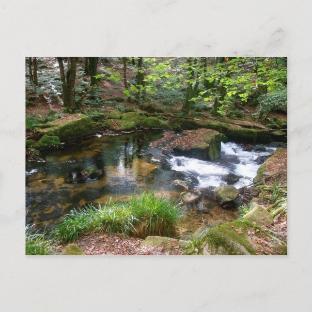 Postal Golitha Falls River Fowey Cornwall England (Anverso)