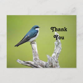 Postal Golondrina de árbol Gracias