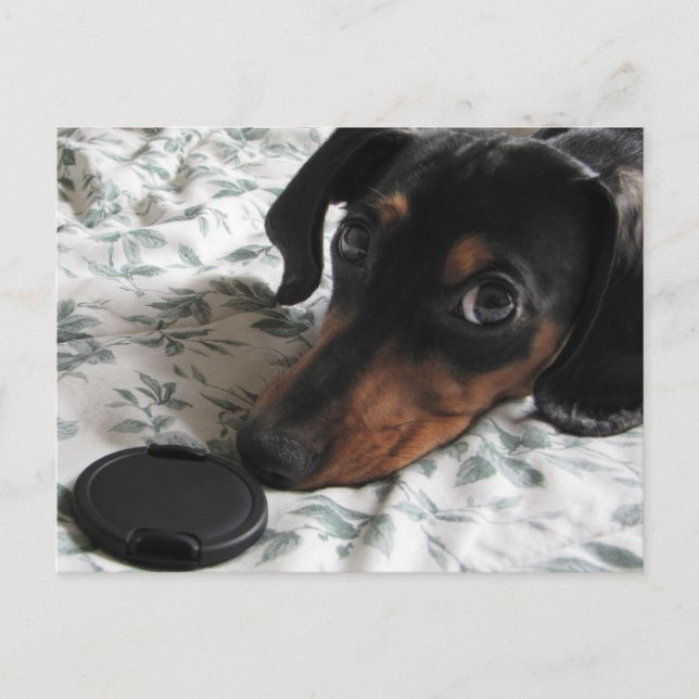 Postal Golpe de tira y afloja (Anverso)