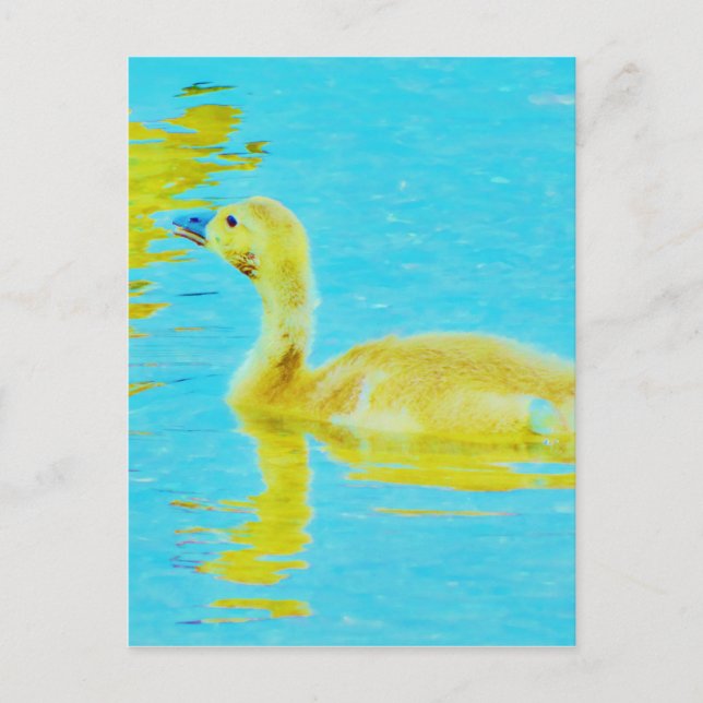 Postal Goma bebé amarillo con agua azul clara (Anverso)