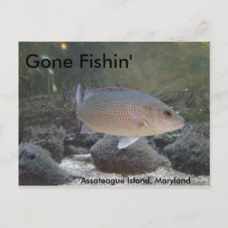 Postal Gone Fishin en la isla de Assateague, MD