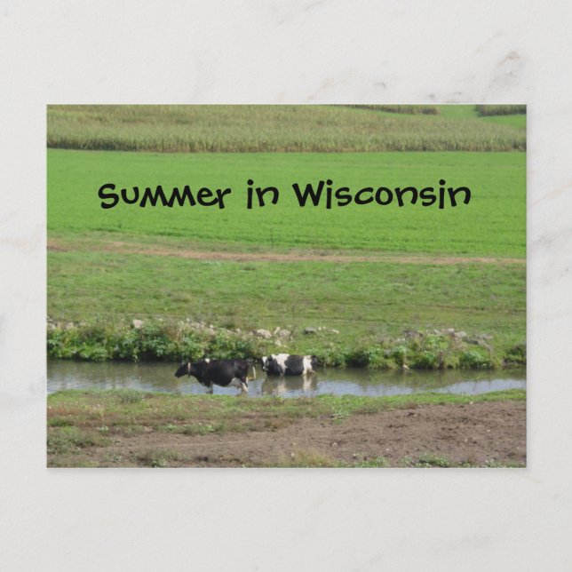 Postal Gone Swimmin (Anverso)