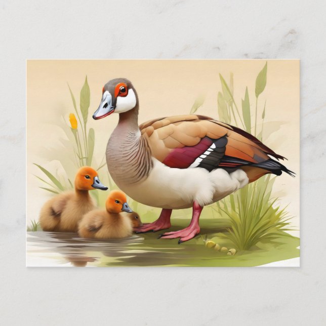 Postal Goose egipcio con patitos (Anverso)