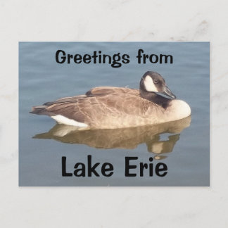 Postal Goose en el lago Erie
