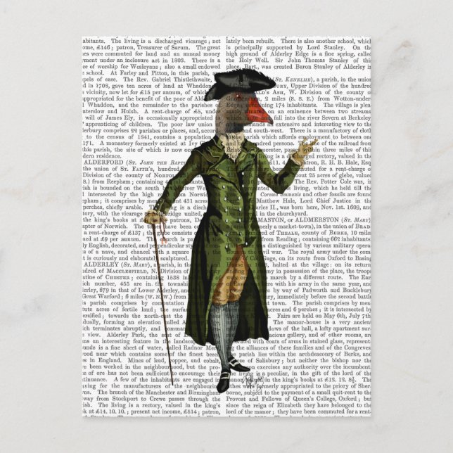 Postal Goose in Green Regency Coat 2 (Anverso)