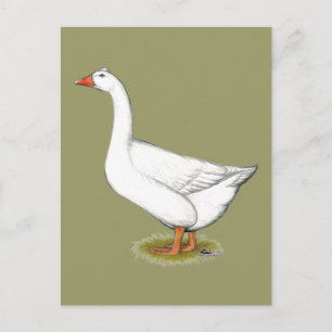 Postal Goose Roman Tufted