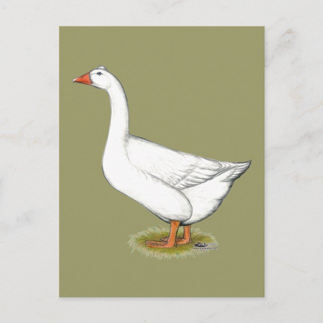 Postal Goose Roman Tufted (Anverso)