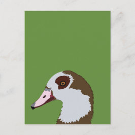 Postal Goose Waterfowl Bird Goose