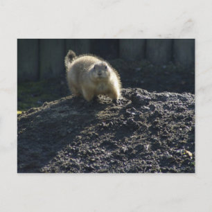 Postal Gopher Poster