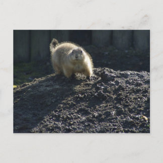 Postal Gopher Poster