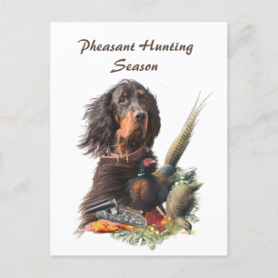 Postal Gordon Setter