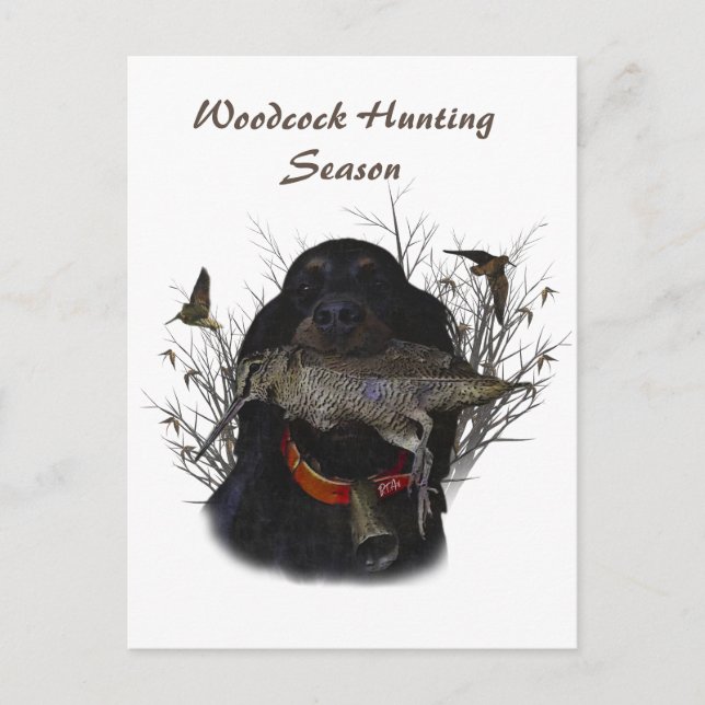 Postal Gordon Setter  (Anverso)