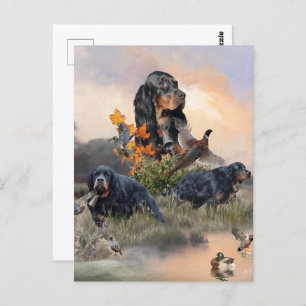 Postal Gordon Setter