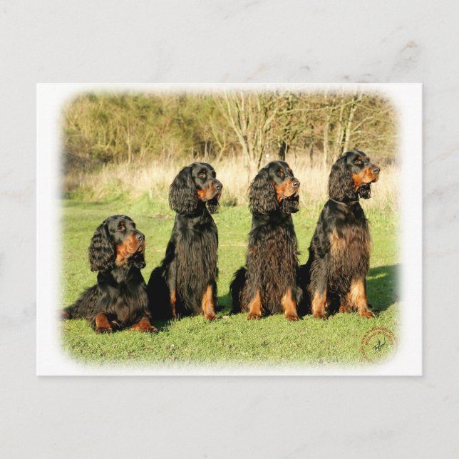 Postal Gordon Setter 9Y105D-080 (Anverso)