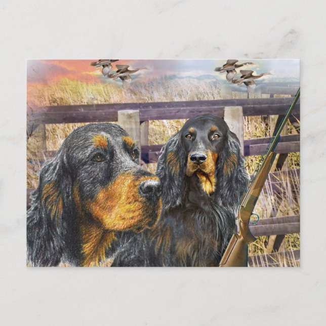 Postal Gordon Setter en un regalo de caza (Anverso)