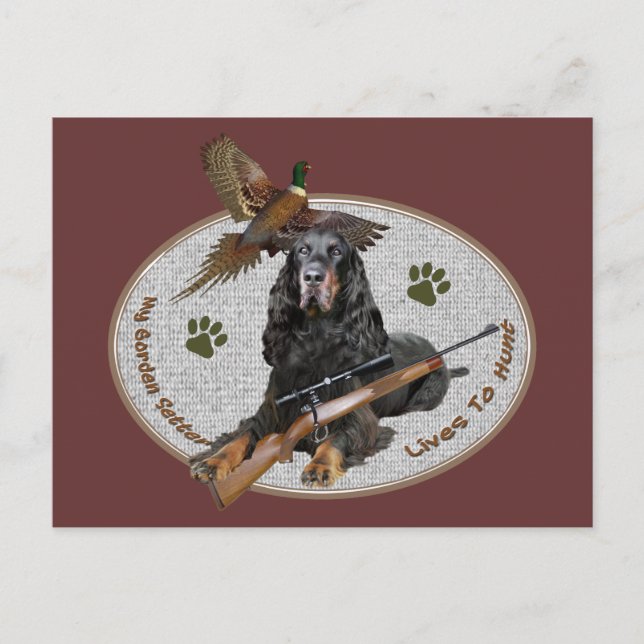 Postal Gordon Setter Vive Para Cazar (Anverso)