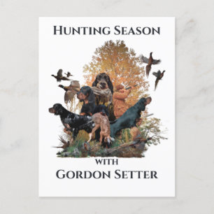 Postal Gordon setters, Art