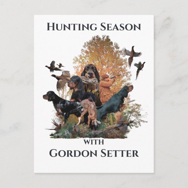 Postal Gordon setters, Art (Anverso)