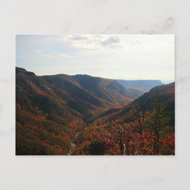 Postal Gorge de Linville en otoño, Carolina del Norte (Anverso)