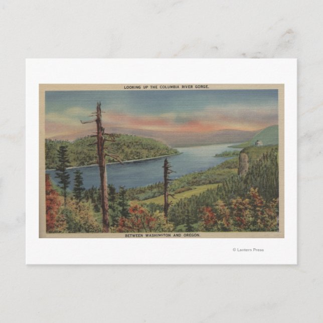 Postal Gorge del río Columbia (Anverso)