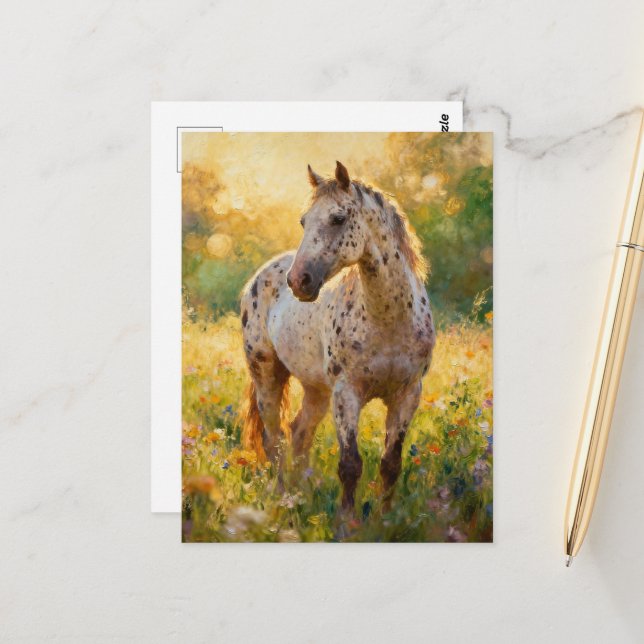 Postal Gorgeous Appaloosa Horse in the Meadow  (Anverso/Reverso In Situ)