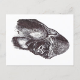 POSTAL GORILA