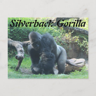 Postal Gorila silverback # 1