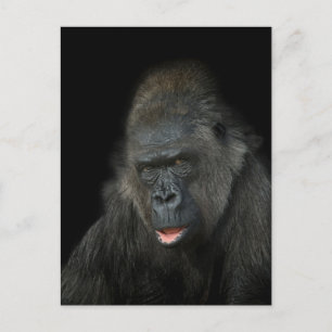 Postal Gorilla Biddy Classic