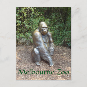 Postal Gorilla del zoológico de Melbourne