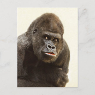Postal Gorilla Pout